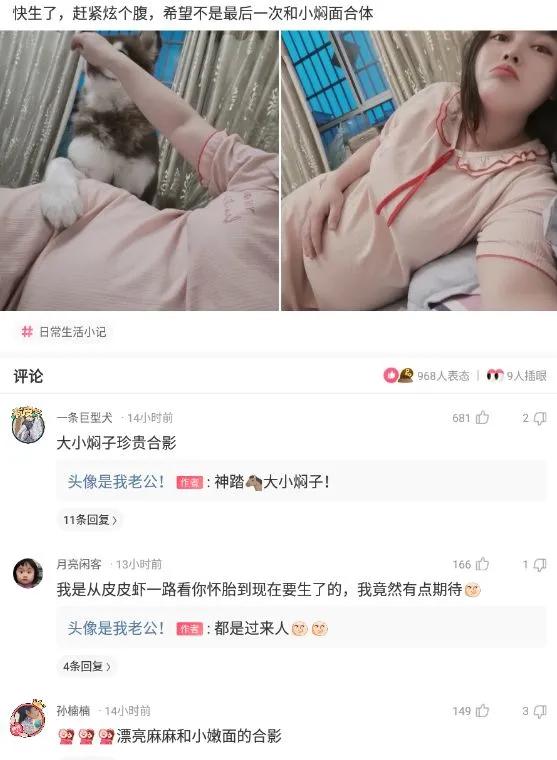 神回复是什么样的让你不敢想象,神回复每句话都在意料之外