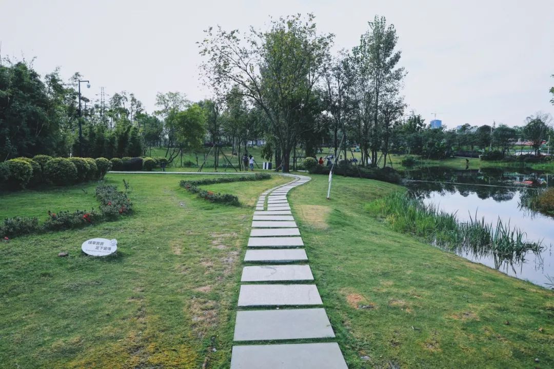 成都周末遛娃游推荐,遛狗公园成都