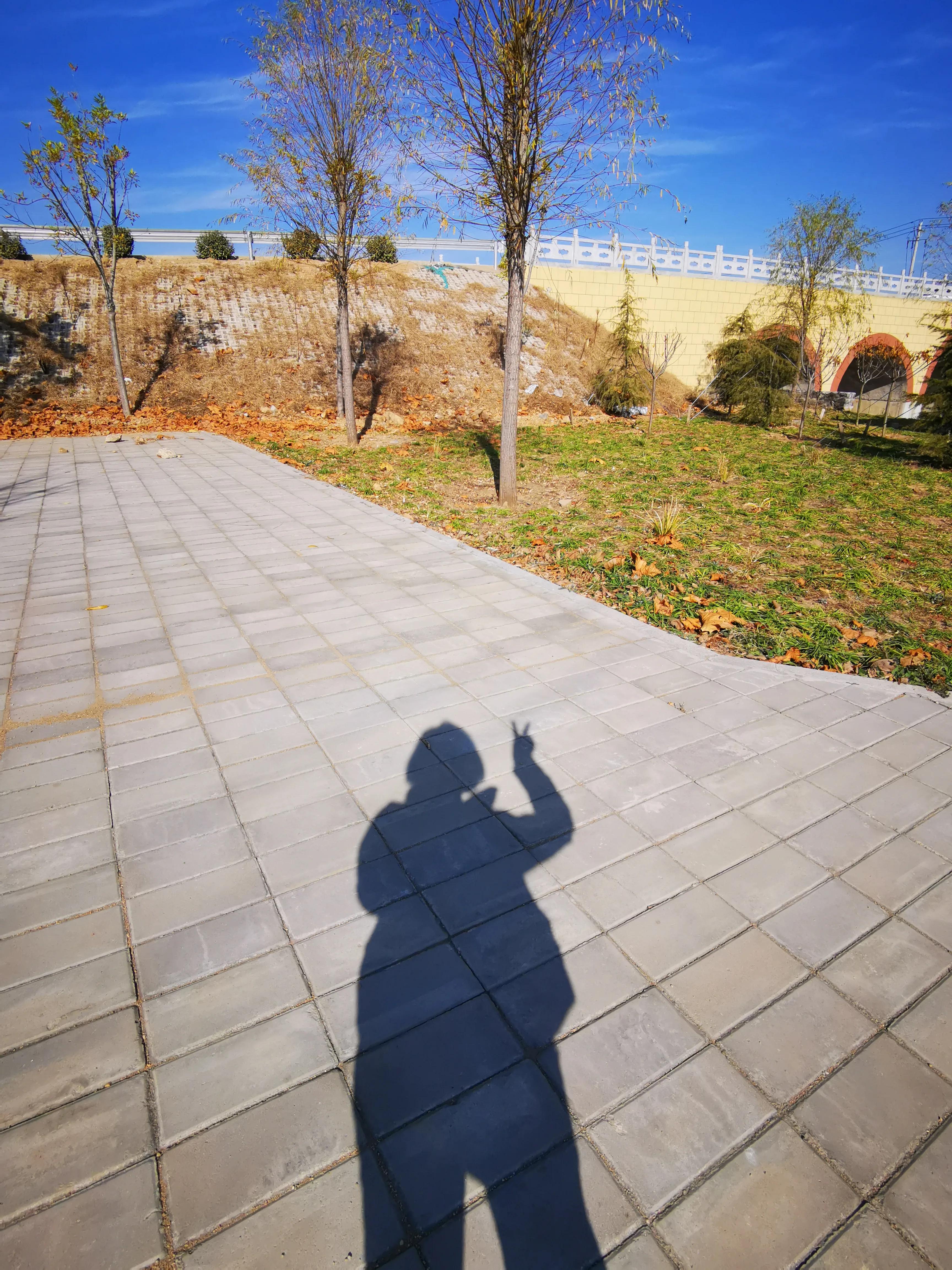 乳腺癌患者的经历以及治疗过程,乳腺癌患者有完全治愈的吗