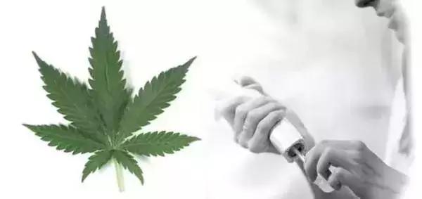 工业*麻大**：从北美火到中国，23个值得关注的行业机会