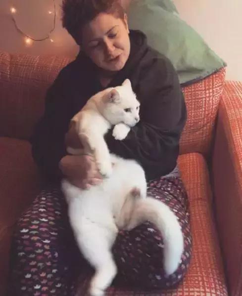 养猫必须做的5件事,老手养猫才知道的六件事