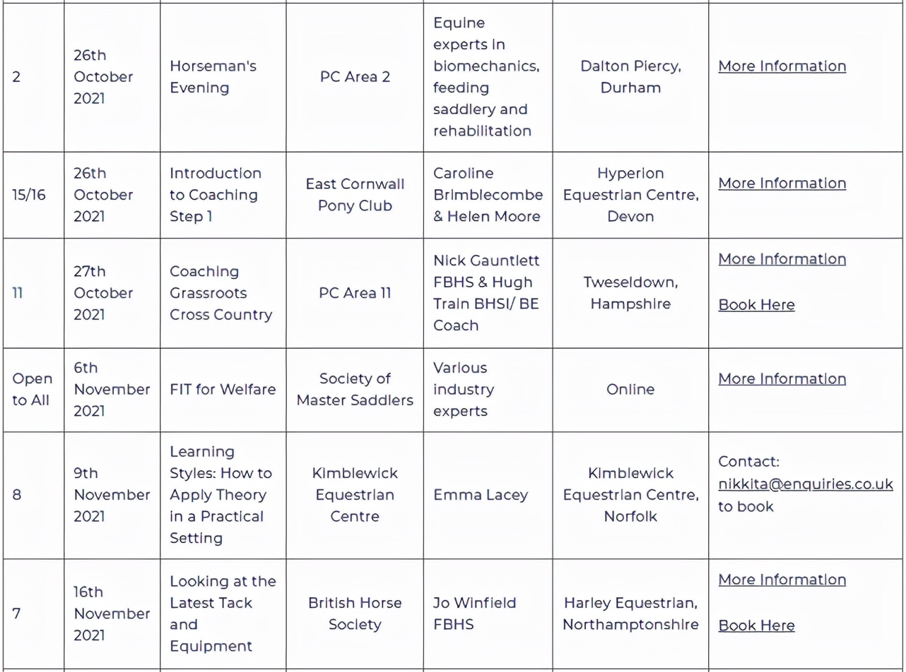 pony现状,pony小马俱乐部