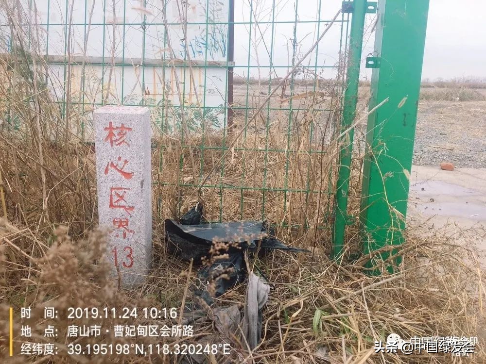 被拆湿地公园,曹妃甸湿地保护区在哪里