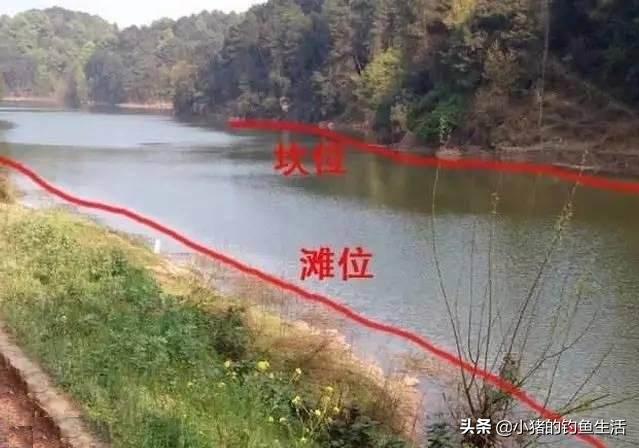 “酷暑三伏钓早晚”，今天来聊聊夜钓