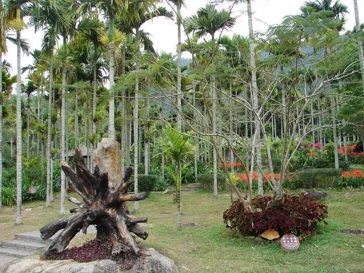 清凉一夏三亚度假营销活动,清凉一夏三亚度假