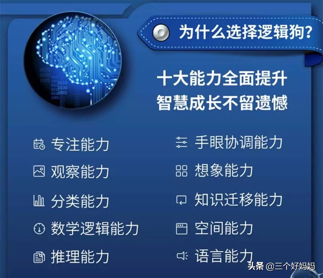 逻辑狗儿童思维训练3-4岁,德国逻辑狗思维训练的好处