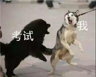 GPA、熬夜、异国恋...你占了几个？