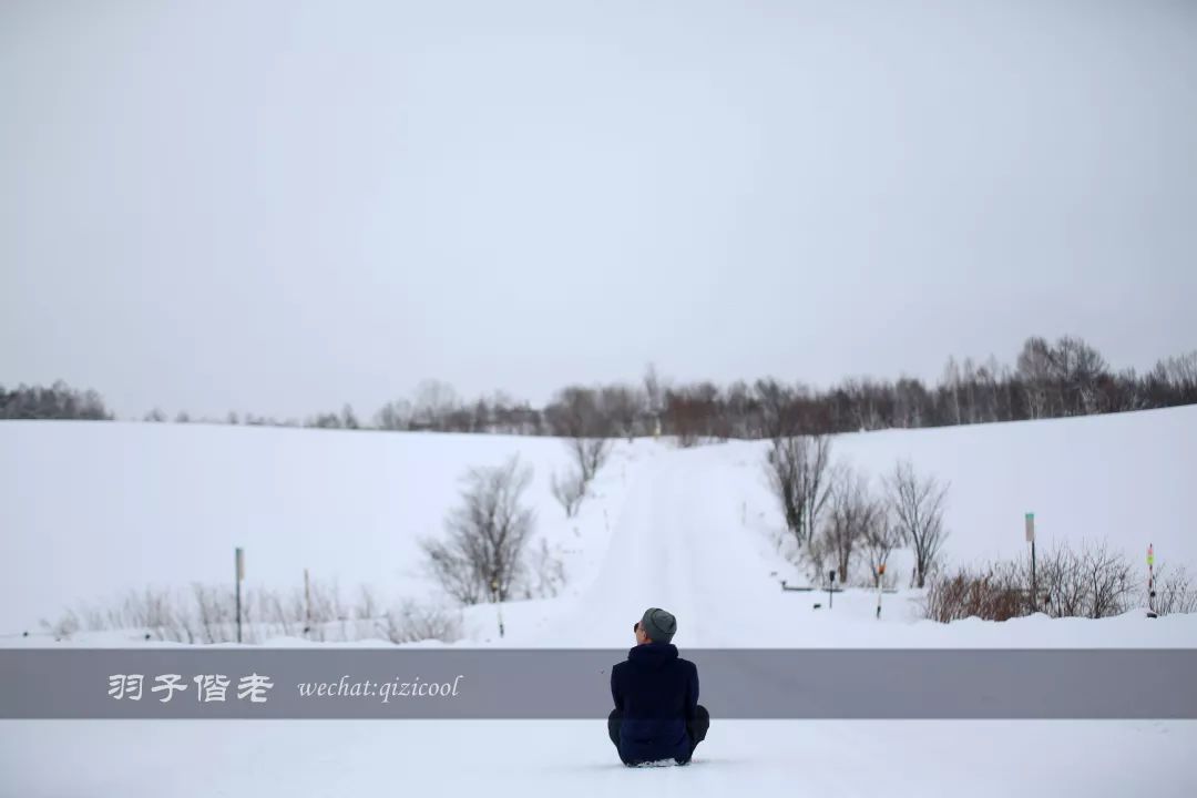 老实说，这一趟北海道就是为了拍好看的照片去的