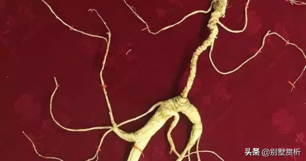 人参几元,人参几块钱