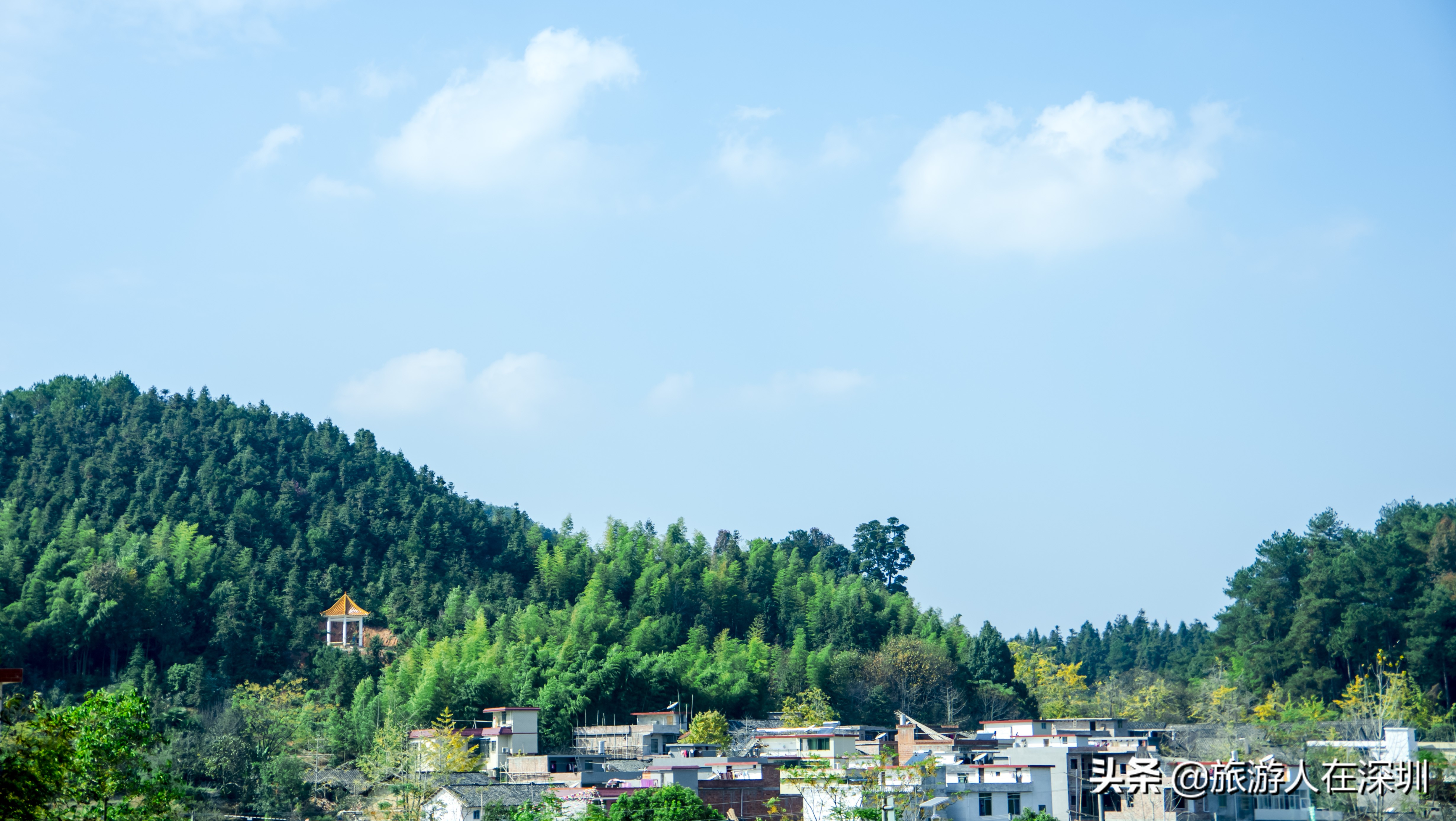 南雄看银杏一日游,去南雄看银杏叶哪里好看点