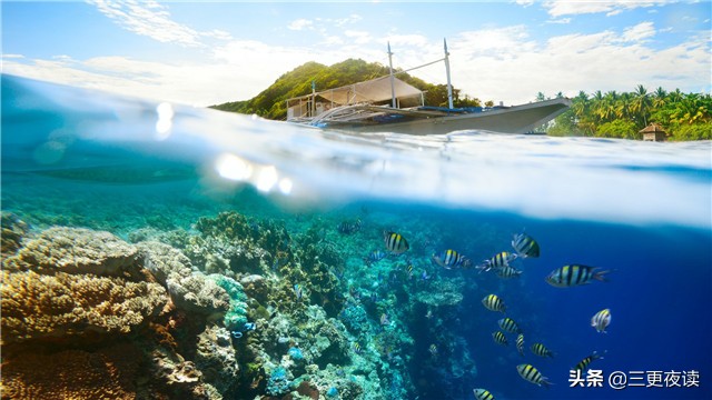 心若向阳何惧忧伤歌词,心若向阳何惧忧伤安之若素