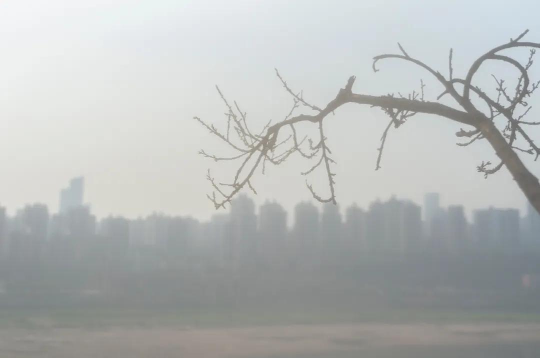 腾龙17-70f2.8和适马18-50f2.8怎么选,索尼适马24-70对比腾龙24-70评测