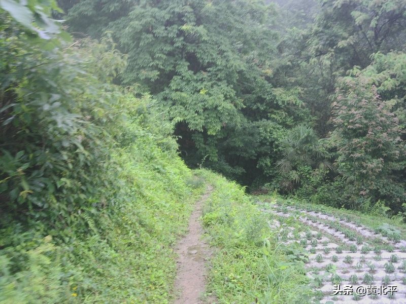 正安县何家山古道,贵州遵义安场古道