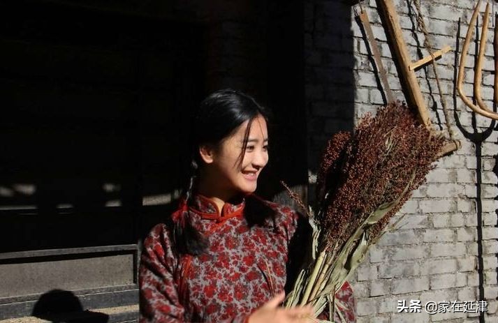 故事：延津故事：菊花泪