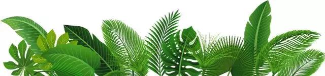 桂林楠溪温馨主题民宿,西昌市楠溪客栈民宿