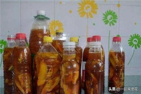 家里的橘子皮像打蜡一样,家里放的陈年橘子皮
