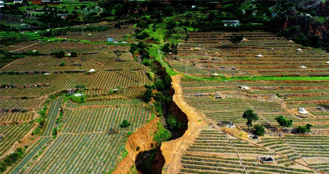 直击：乌东德镇大梨树村“金果果”探索之路