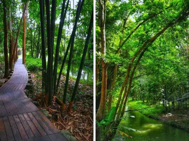 热炸!四川这些小众避暑佳境,光看图就能凉快10℃