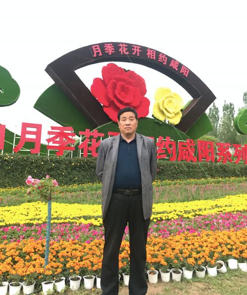 华岳仙掌的简介,关中八景之首的华岳仙掌