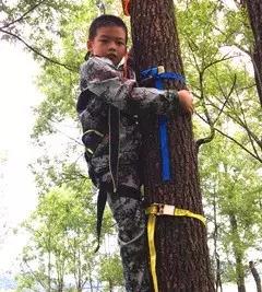 学生农耕研学实践活动感言作文,农耕文化研学旅行作文