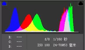 如何拍出原始森林的感觉,怎样拍出森林氛围感大片