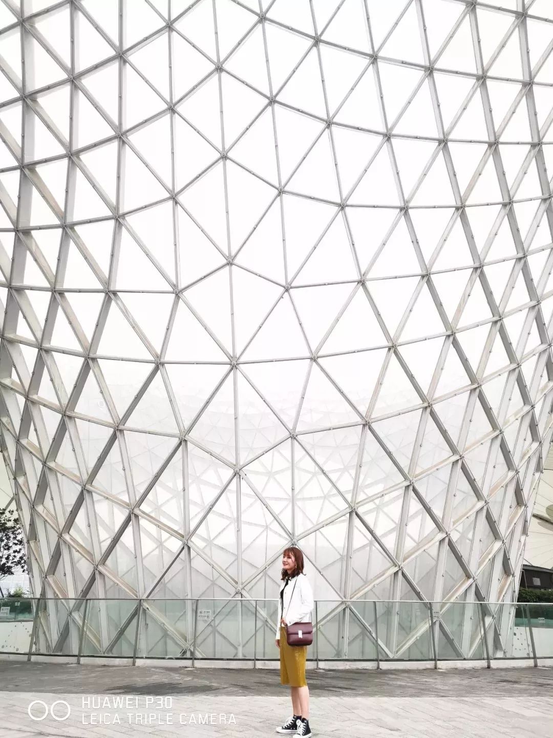 上海魔都最火网红,魔都网红打卡地