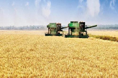 2021农业扶持项目申请条件,农业种养殖业扶持项目具体有哪些