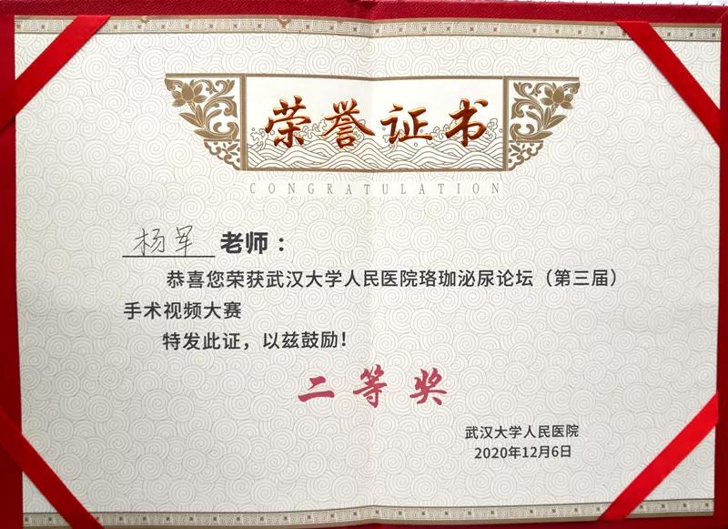 前列腺增生手术治疗前沿技术,中国首次钬激光前列腺剜除术操作