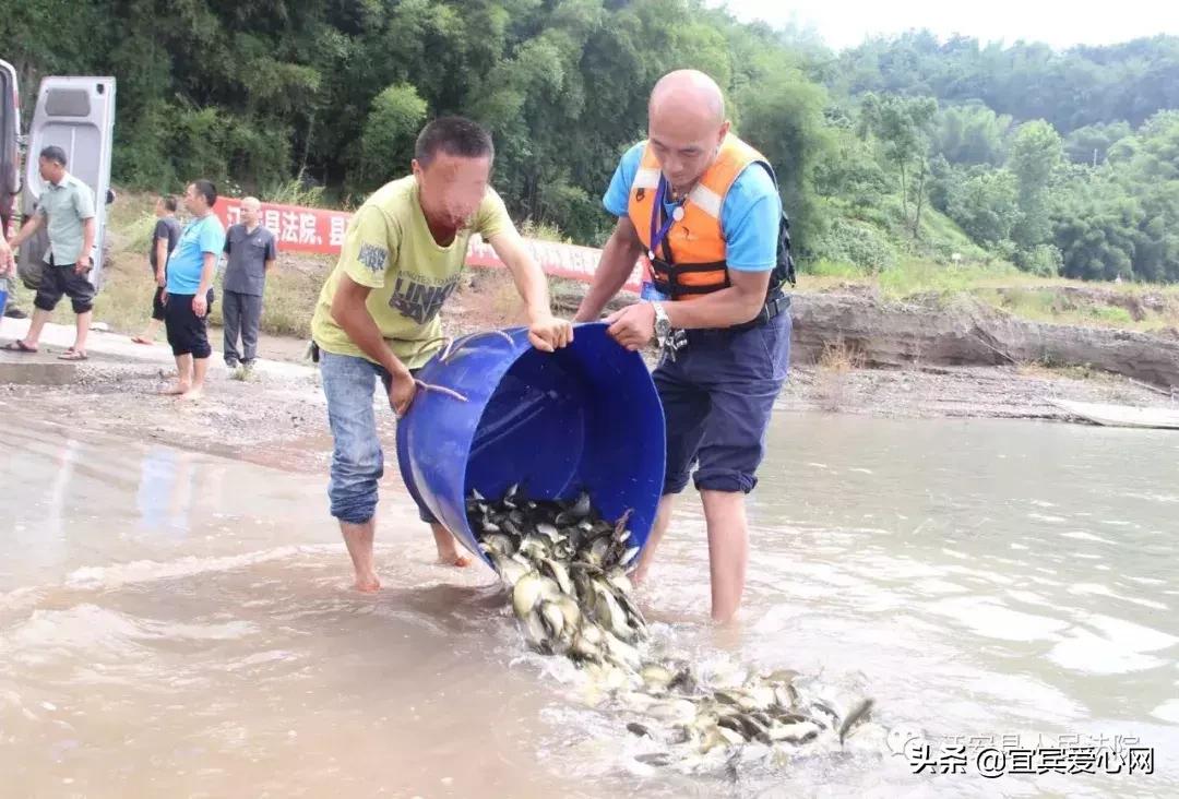长记性啦,为啥在宜宾不能乱捕泥鳅黄鳝?江安县法院有话说