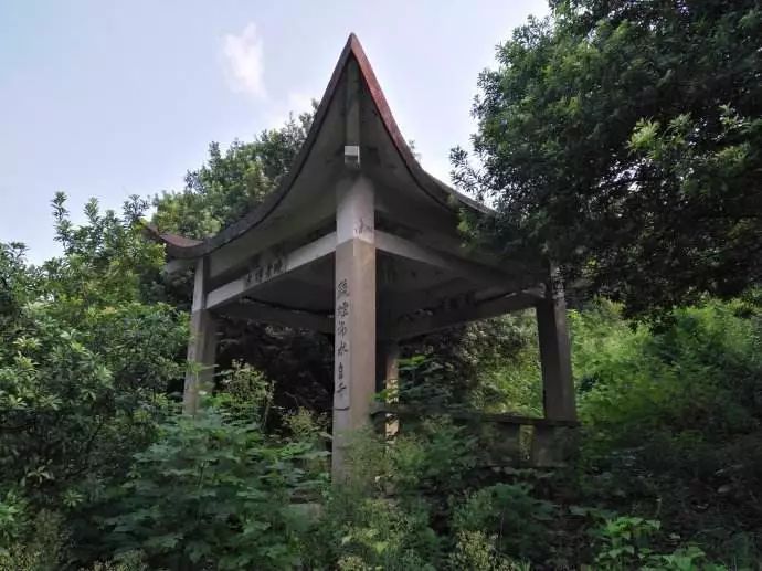 东钱湖徒步路线哪条最美,东钱湖附近有哪些免费古道