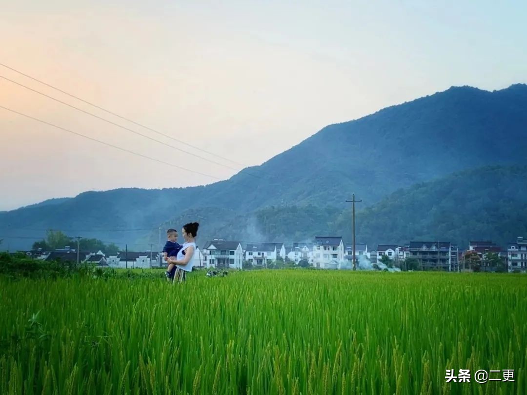 相识27天七夕闪婚完整版,相识15天闪婚成功案例