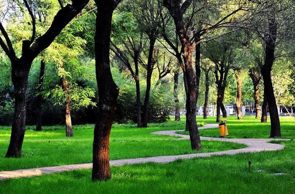 不出郑州旅游攻略,郑州五一游玩公园推荐