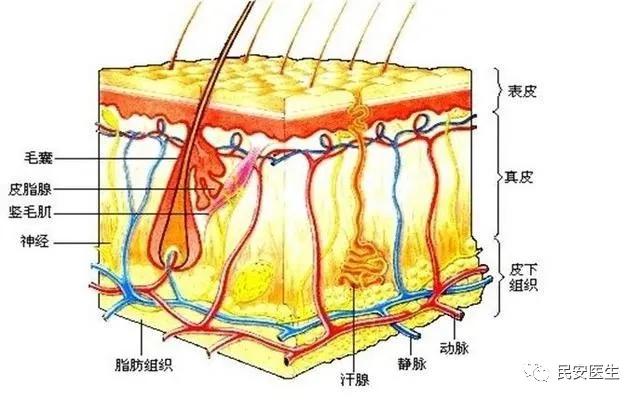 现场处理轻度烧烫伤最佳急救措施,对于烧烫伤的伤病员现场处理方法