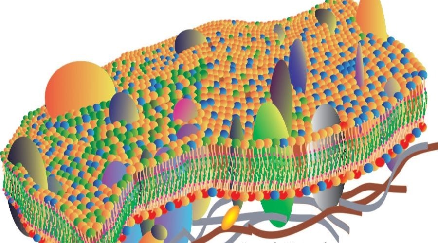 药学博士保湿化妆品,药学博士护肤品推荐