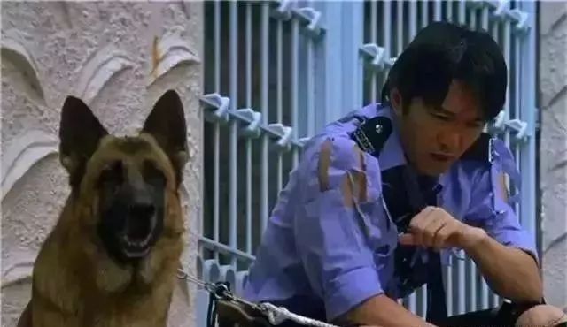 《喜剧之王》八要素,喜剧之王开拍时间