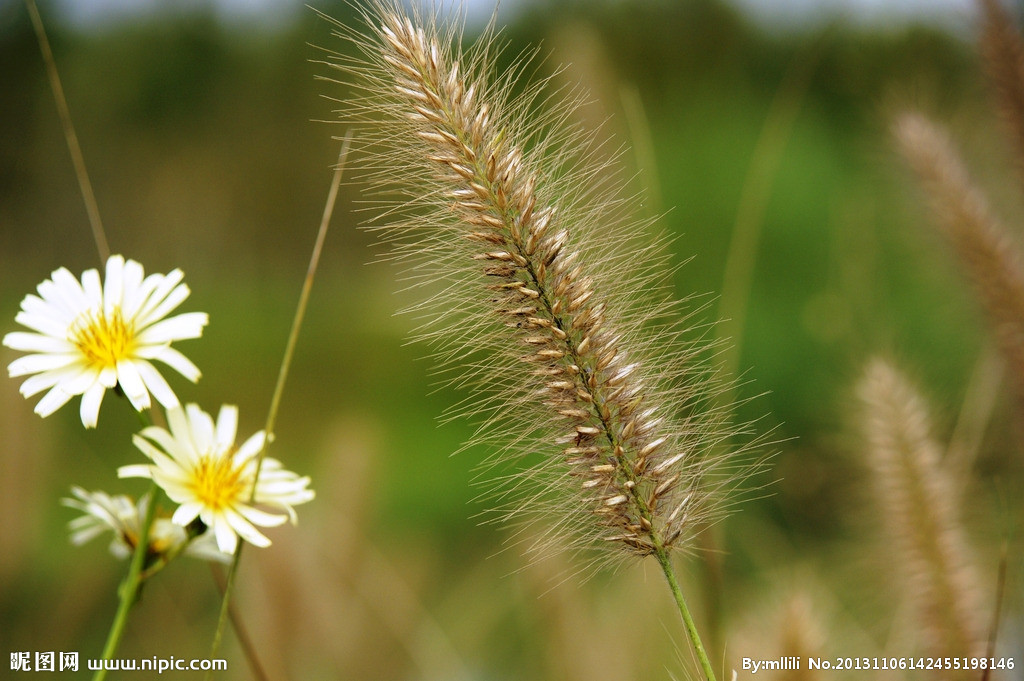 教师,最美的语言应该怎样说?