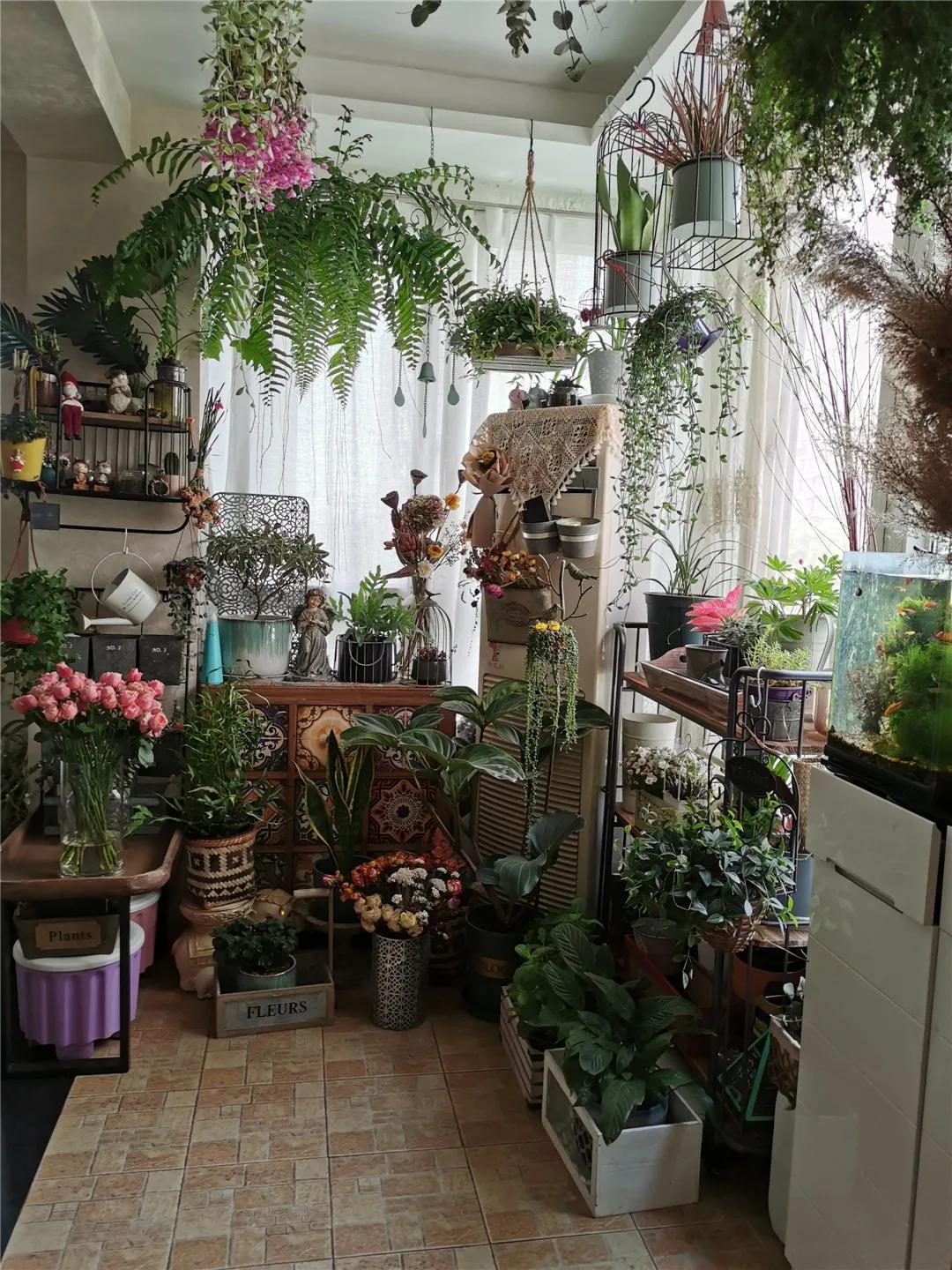 从摆地摊卖花到开实体店,从摆摊卖花到开店