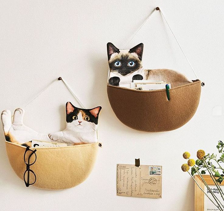 360度“云吸猫”?日本这家猫咪商店简直爱了