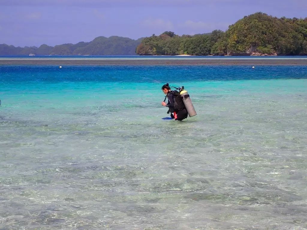 帕劳归来不看海谁说的,帕劳归来不看海