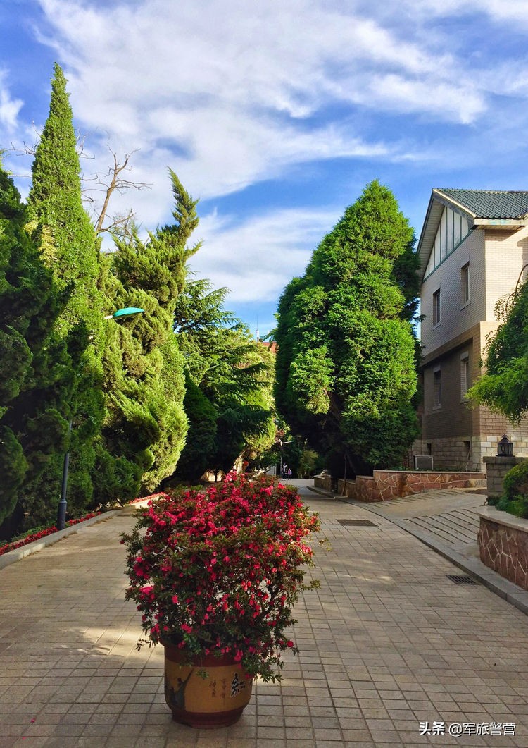 大连市八七疗养院的故事,大连八七疗养院