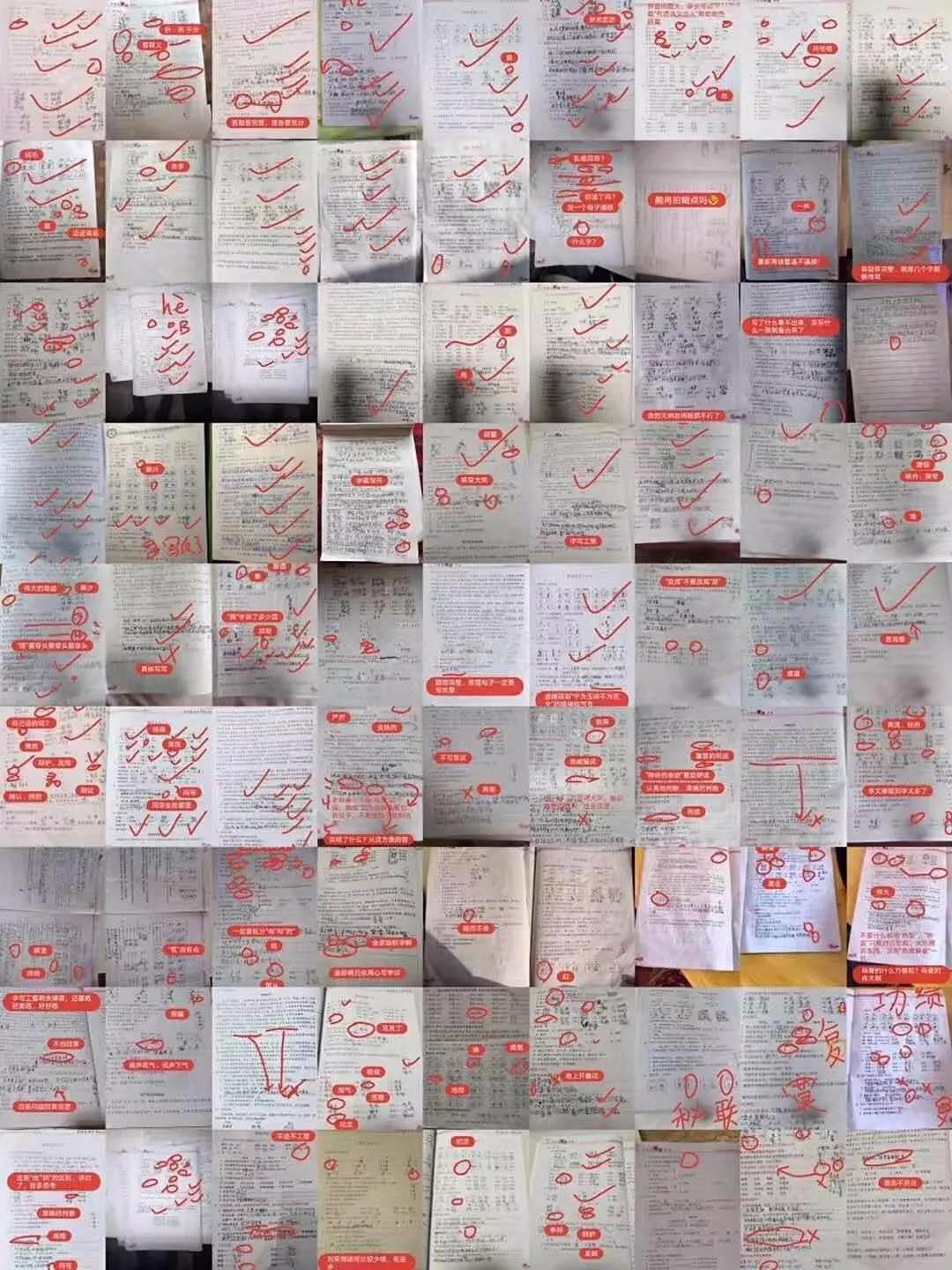 网课学生翻车现场视频,小学生网课翻车现场全集