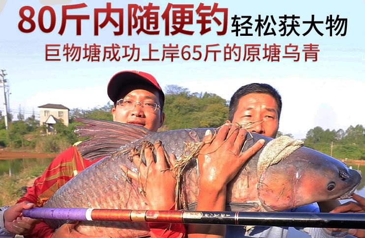 钓鱼王哪款鱼竿适合钓大鱼,钓鱼王7.2米顶级鱼竿推荐