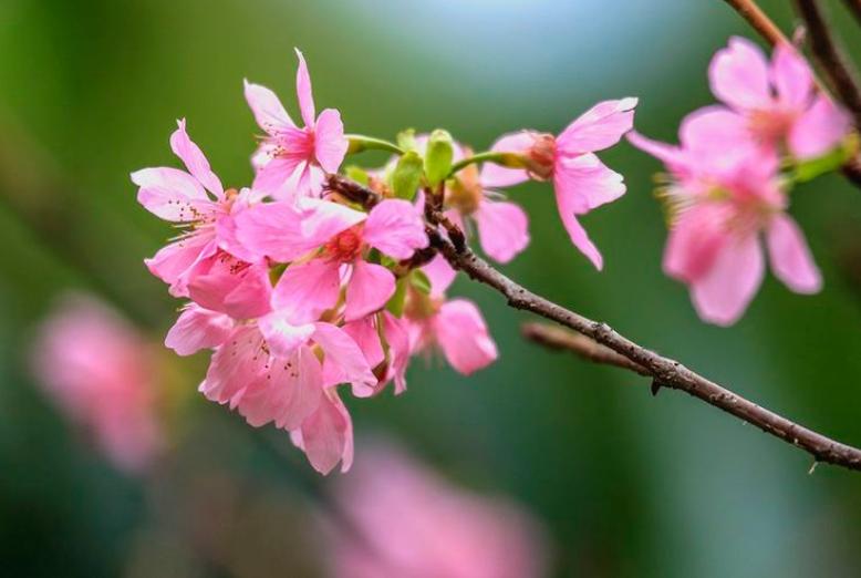 如果你爱上有家庭的男人就放手吧,如果你爱上一个人该怎么做呢