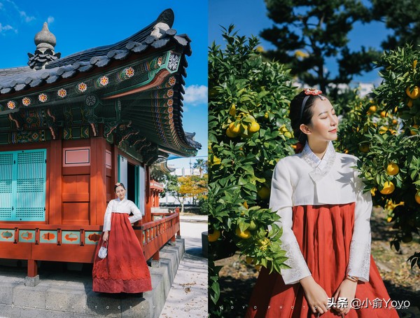 济州岛最值得去的地方,来济州岛第一天去哪玩