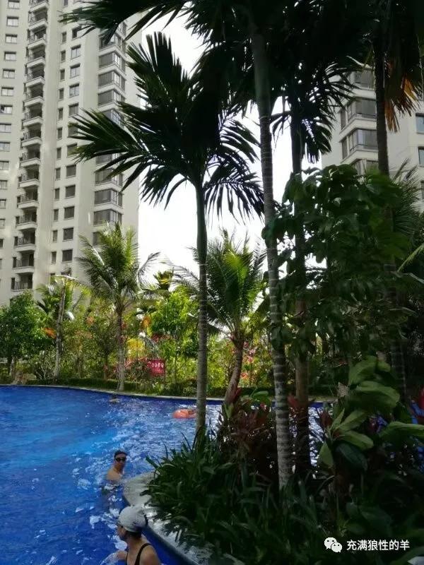 我在海南,海南桃源居的生活