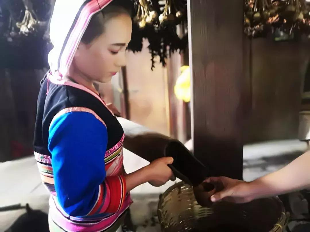 基诺族普洱茶故事,基诺山民族文化