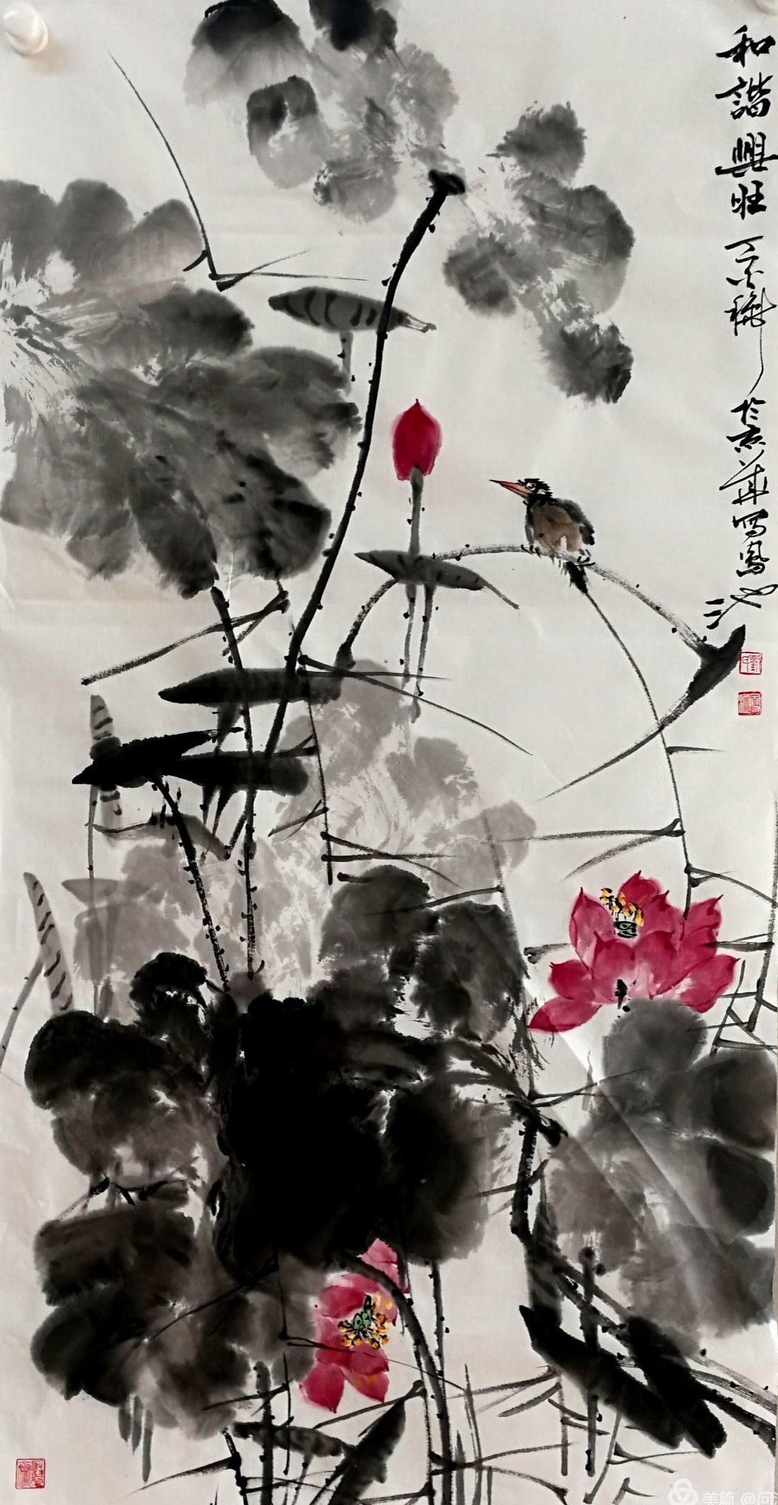 浦上生绿烟，波底荡红云，画家刘凤池水墨荷花别样红