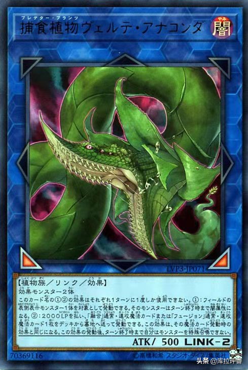 游戏王现在哪一套卡组最强,游戏王真红眼龙卡组介绍