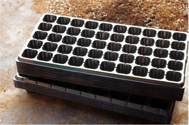 鑺辨埧濮戝澶氳倝閰嶅湡,鑺辨埧濮戝鐜夐湶澶氳倝