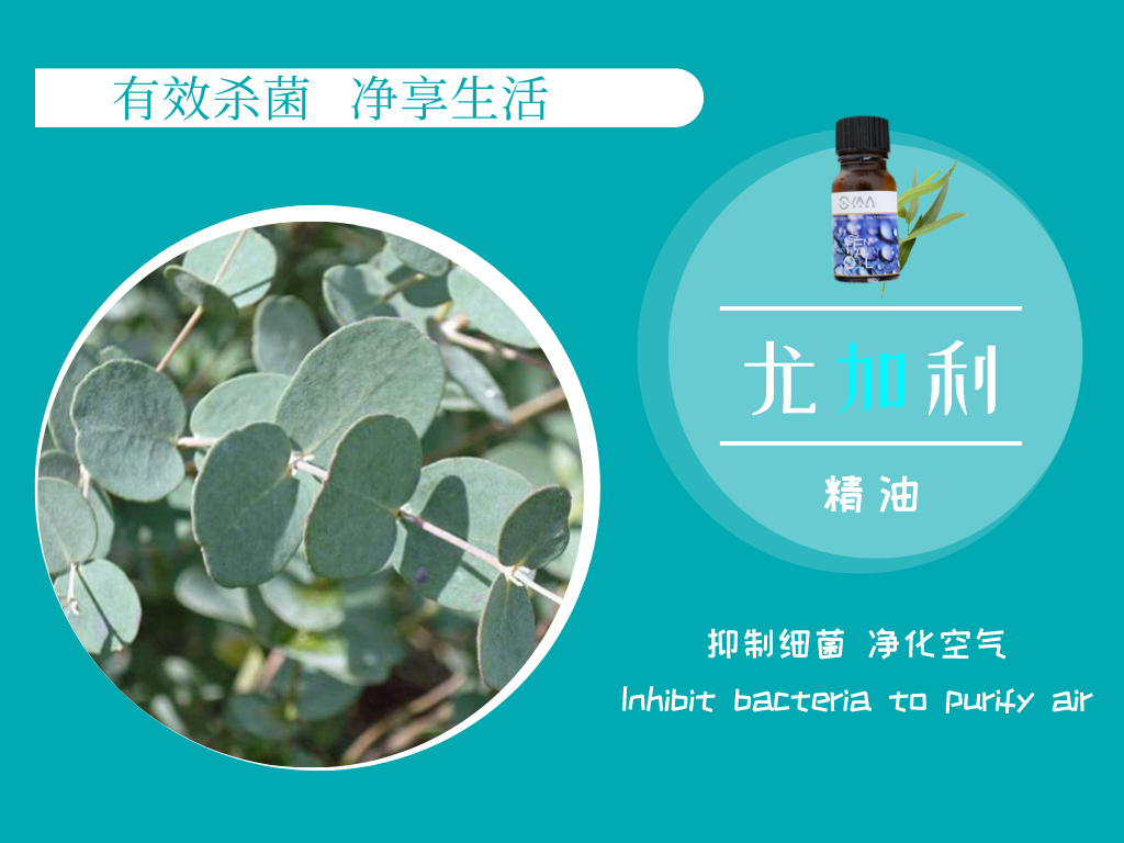 病毒肆虐期间，杀菌精油必不可少